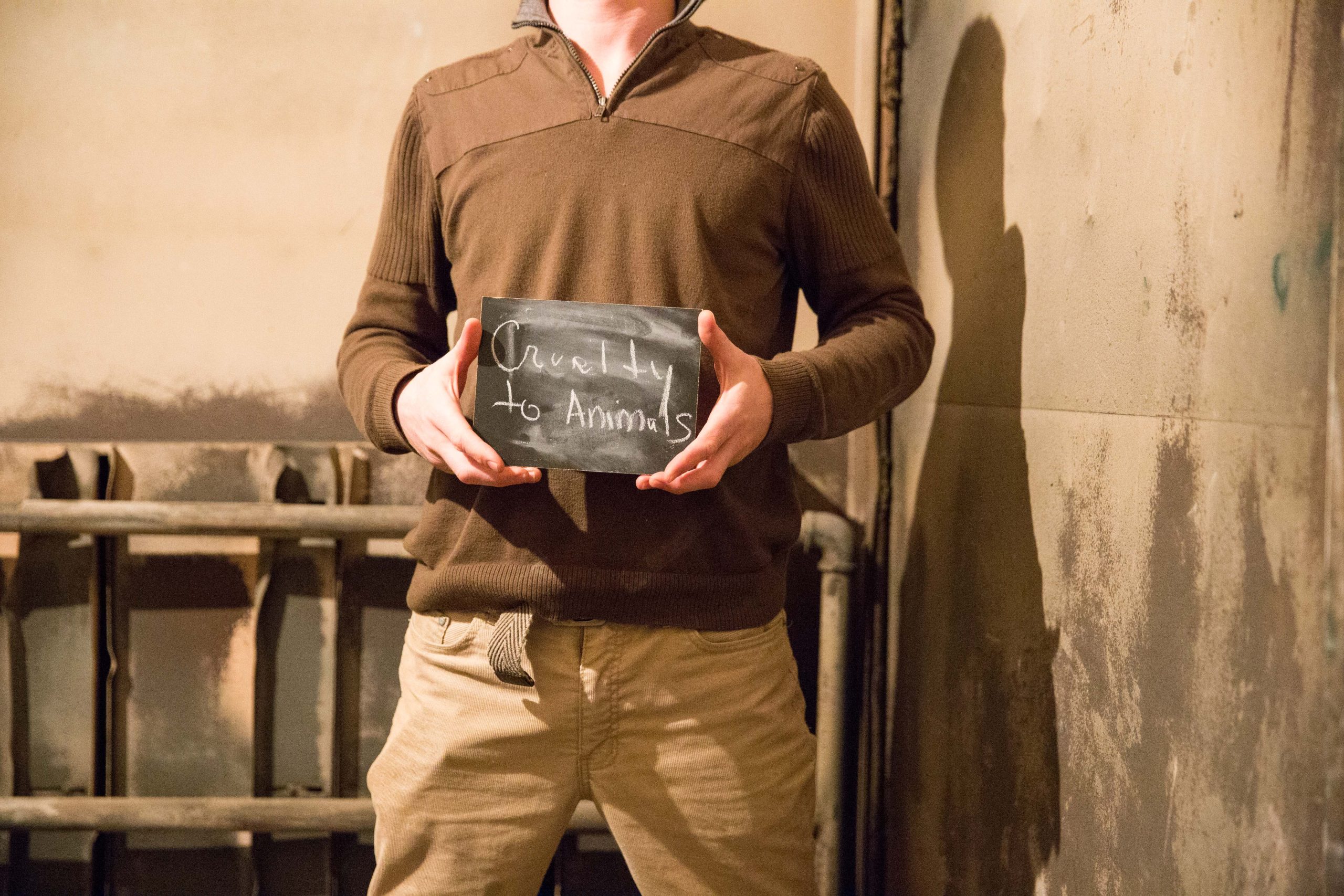 Chalkboard stating Cruelty to Animals written in chalk Chalkboard stating Cruelty to Animals written in chalk