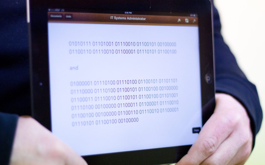 IT Systems Administrator: Wire Fraud and Conspiracy