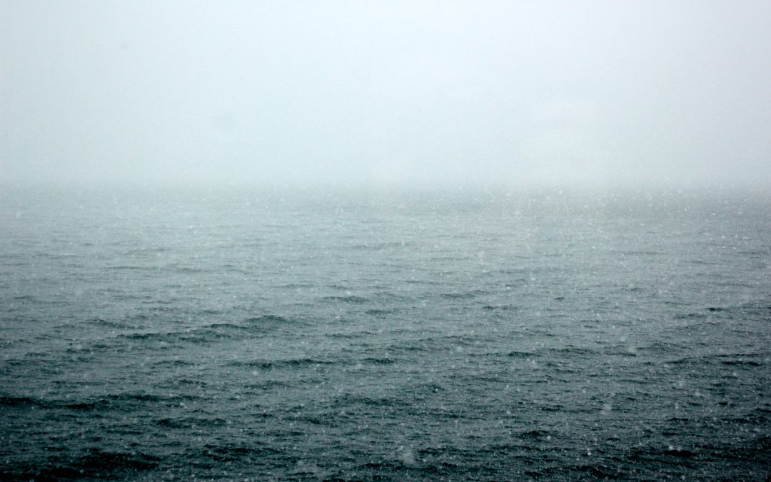 Business owner: Sale of Controlled Substances