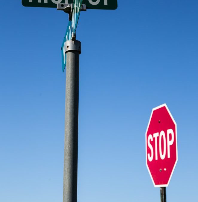 Journalist: Using Artificial Light to Locate Animals