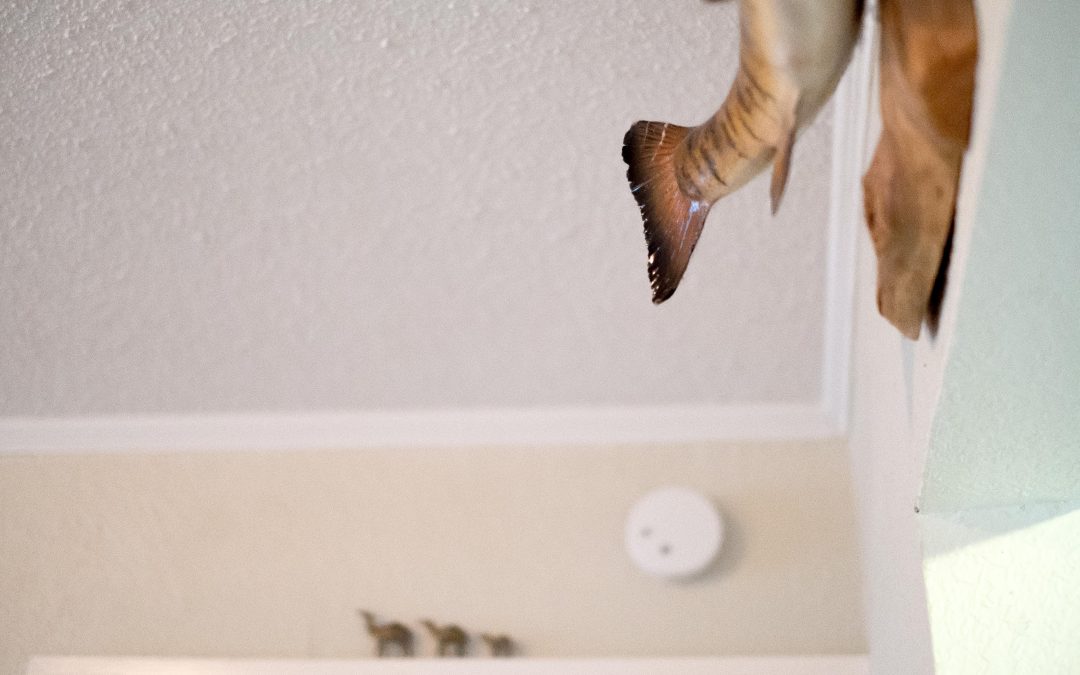 Media manager: Criminal Damage to Property