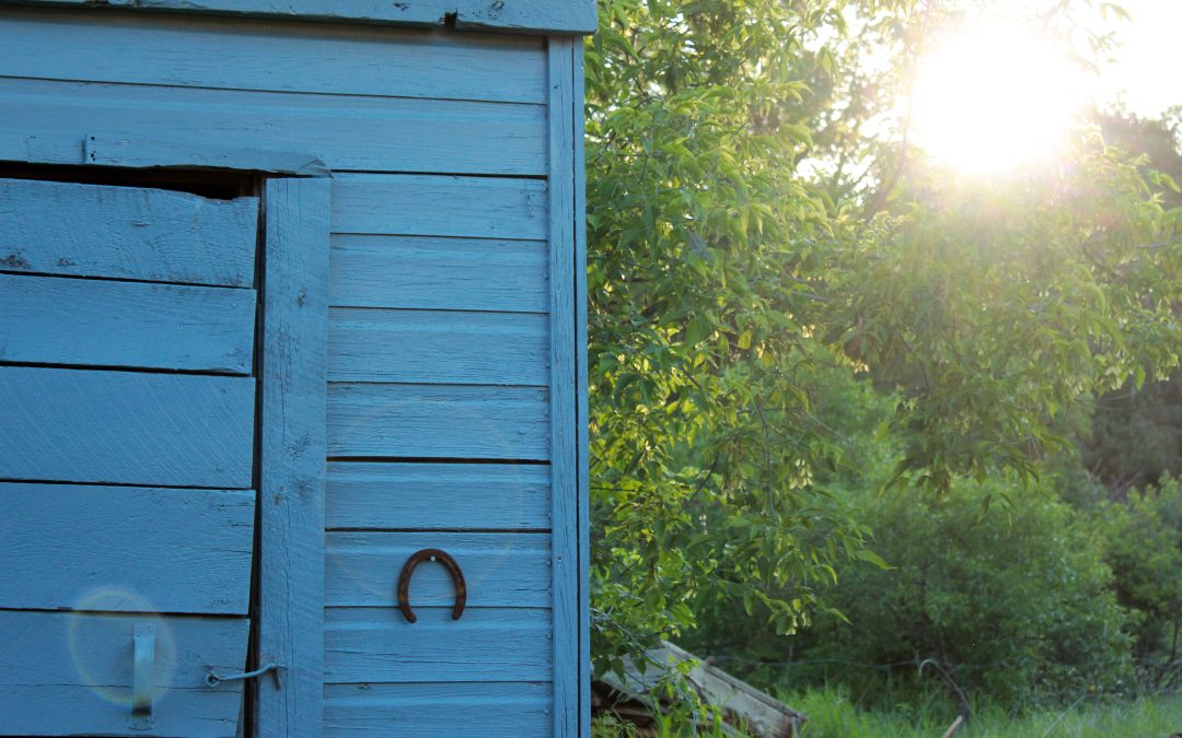 Social worker: Assault