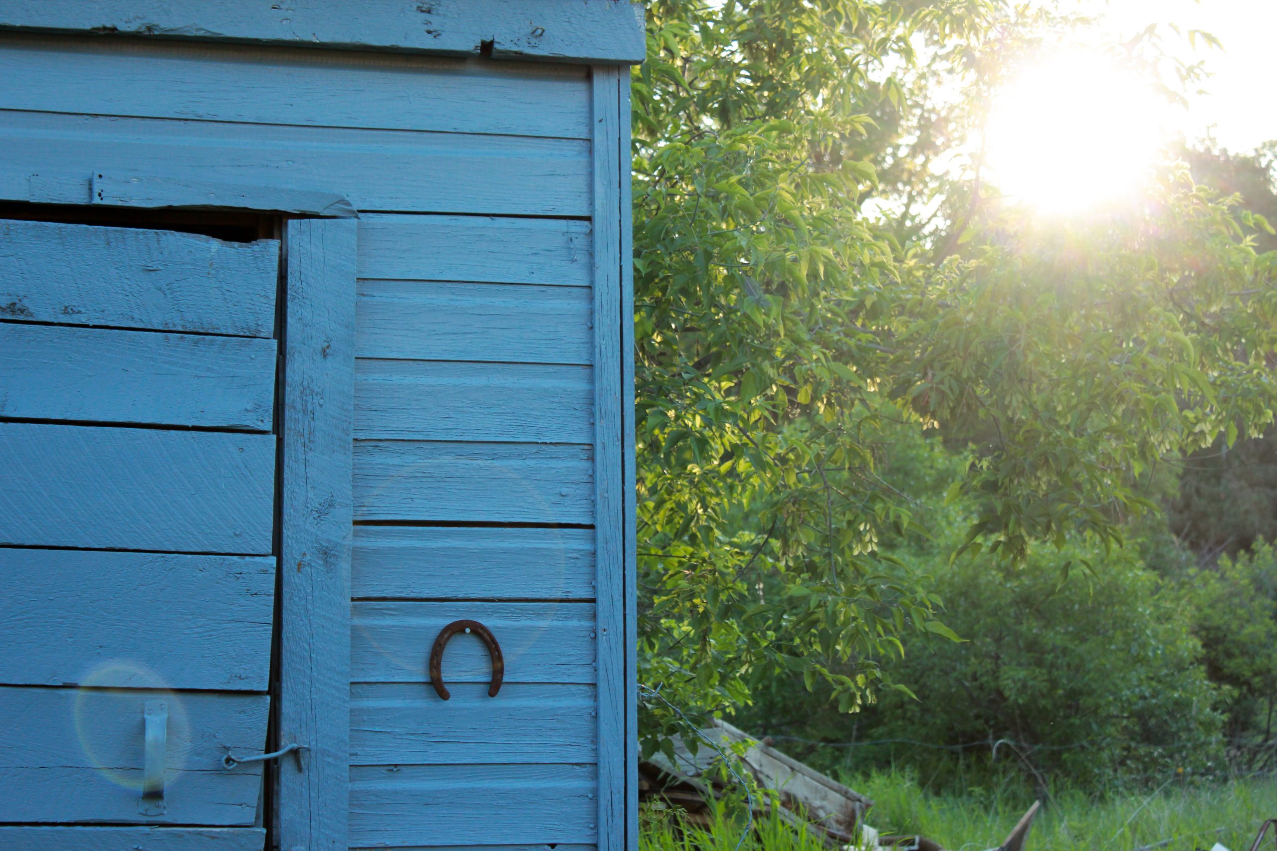 portapotty blue shed with horseshoe Blue shed portapotty with horseshoe