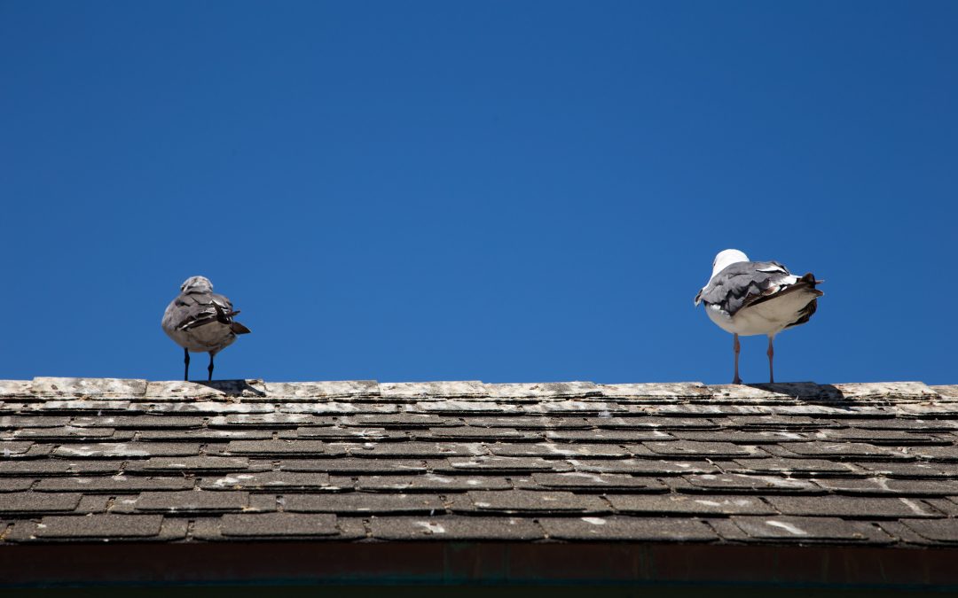 Reporter: Criminal Sexual Conduct