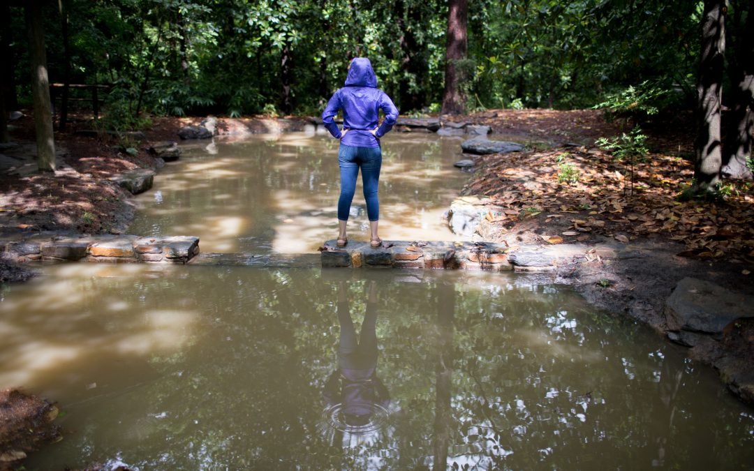 Scholar: Breaking and Entering; Trespass; Underage Consumption