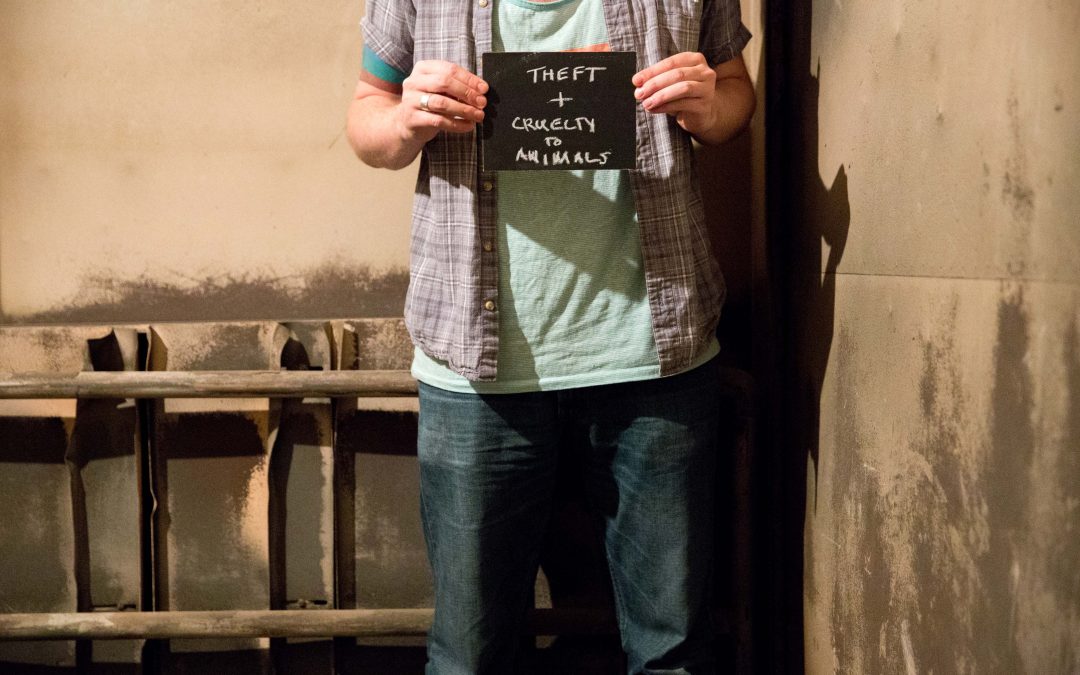 Theft, Cruelty to Animals