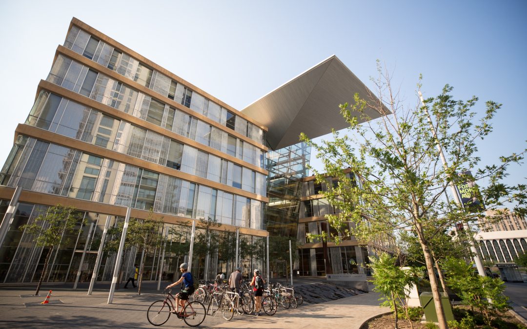 SEEN: In the Stacks |||  August 4th thru September 28th