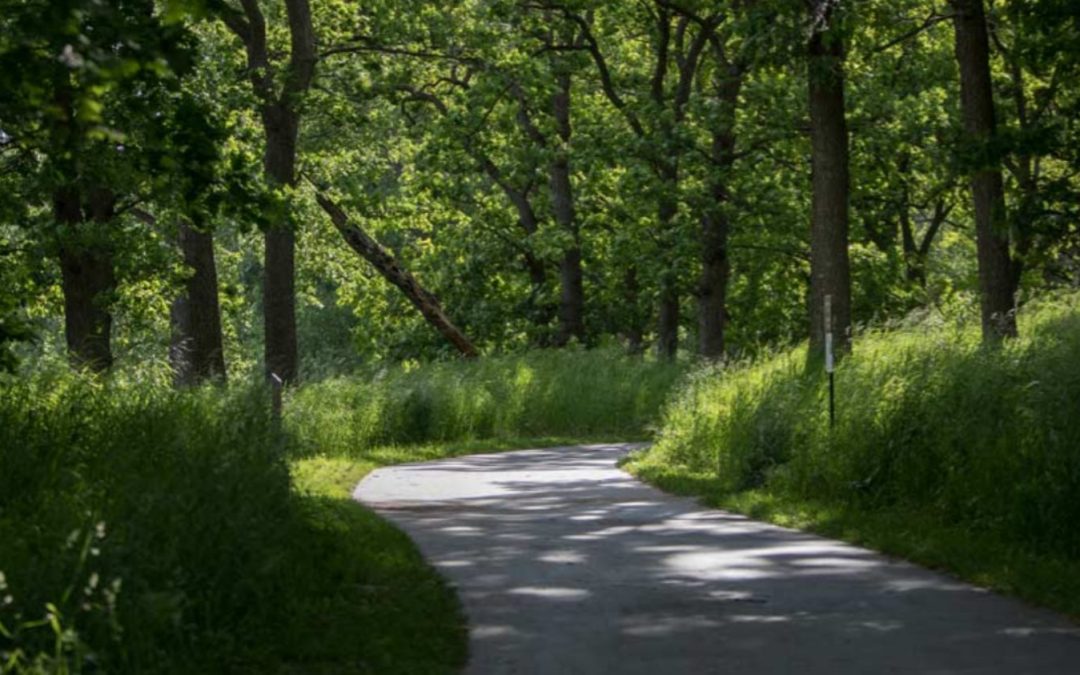 2020-2024: Silverwood Park, Minneapolis