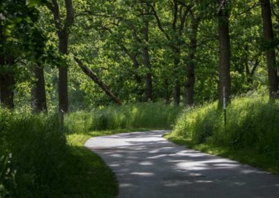 2020-2024: Silverwood Park, Minneapolis