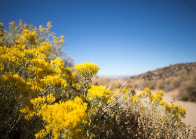 October 20, 2017: National Defender Juvenile Center’s Leadership Summit, Albuquerque, NM